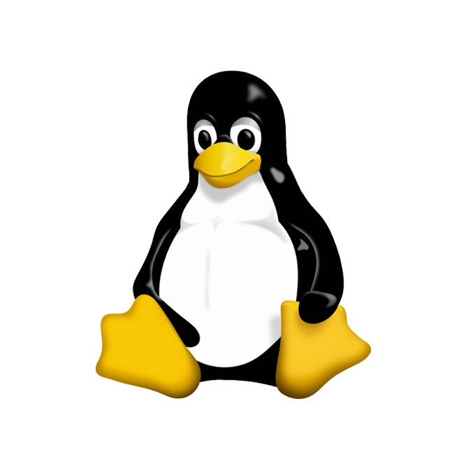 Linux kernel